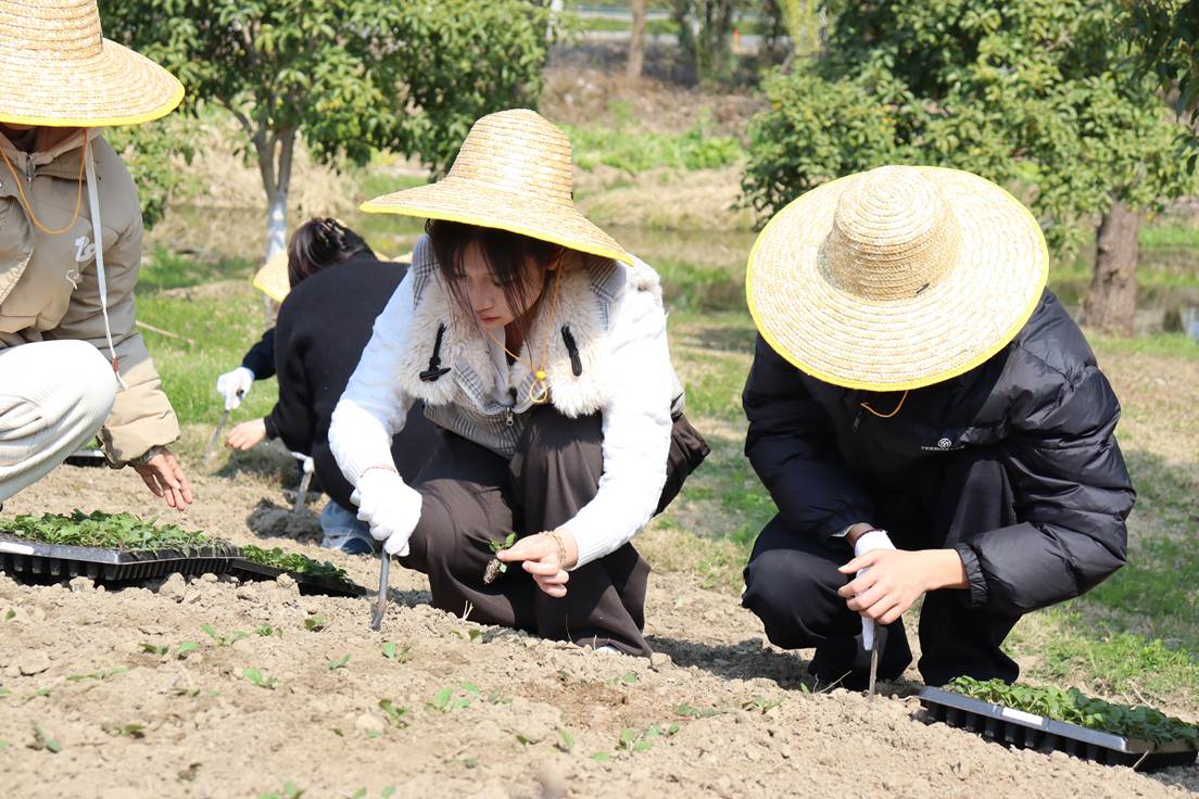 85b13b2a2f6577ebf1f6cd8bcd59872d