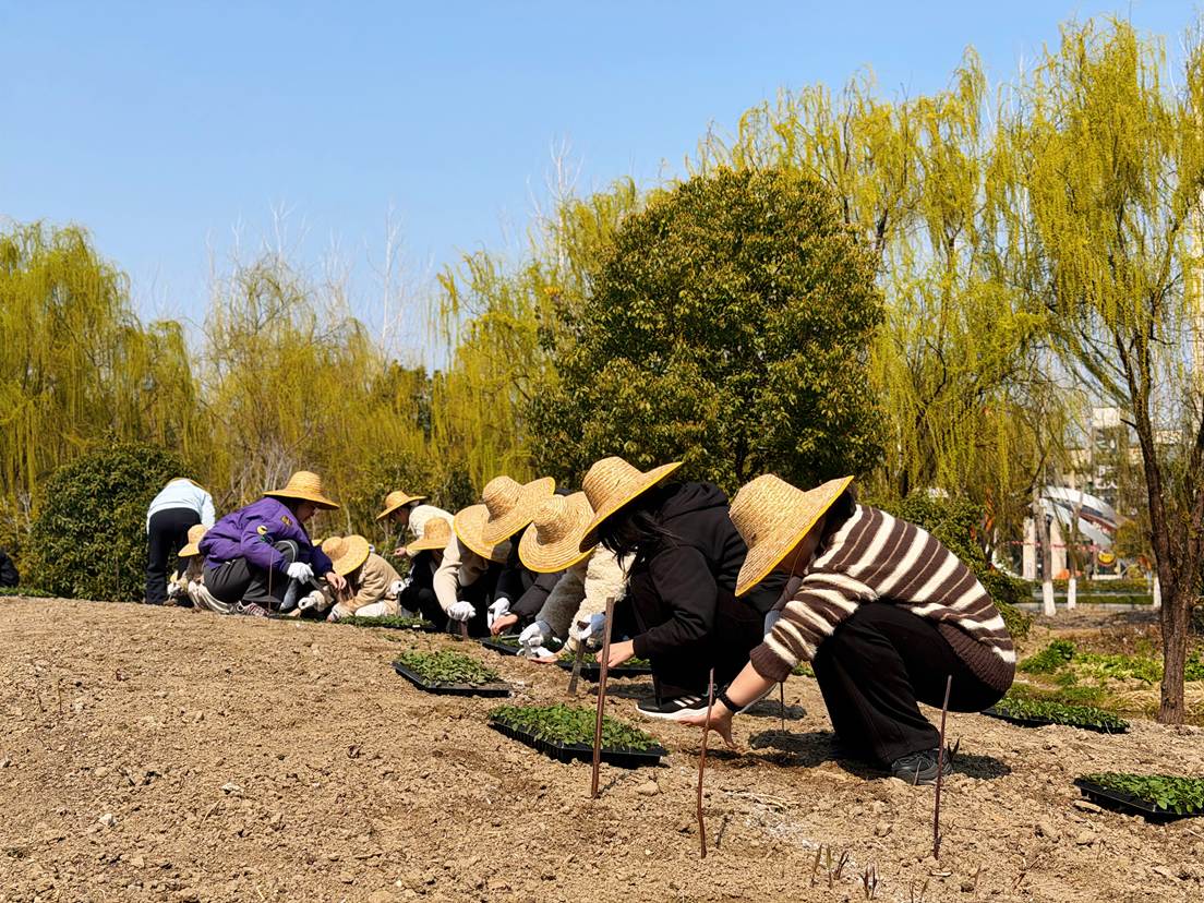 599cd146e4d5a3270bac2f1c7e15a895